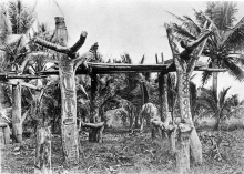 sepik
