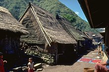Bali