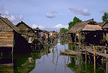 Bajau