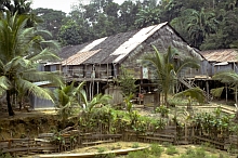 Iban (Borneo)