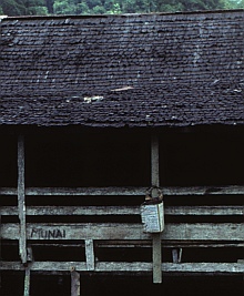Kayan (Borneo)