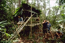 Penan (Borneo)