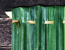 Sarawak