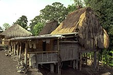 Ngada (Flores)