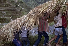 Bontoc