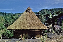 Bontoc
