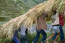 Bontoc