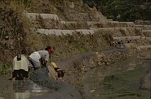 Bontoc
