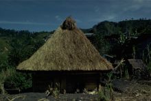 Bontoc