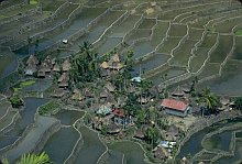 Ifugao