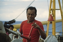 Sermata