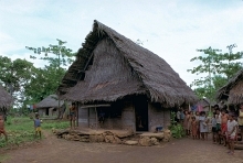 Moa