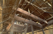 Moa