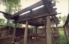 Moa