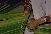 Tanimbar Kei