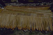Tanimbar Kei
