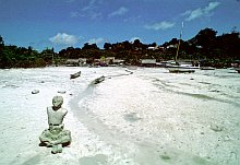 Tanimbar Kei