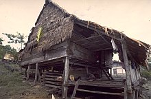 Tanimbar Kei