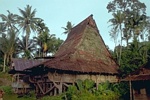Central Nias