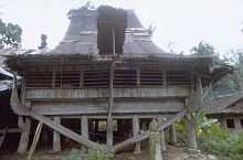 Central Nias
