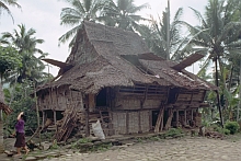 Central Nias