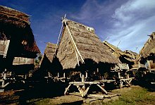 Bima (Sumbawa)