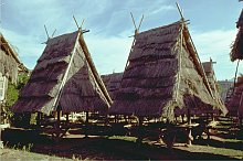 Bima (Sumbawa)