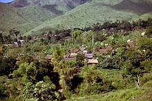 Donggo (Sumbawa)