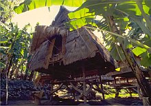 Donggo (Sumbawa)