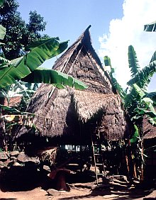 Donggo (Sumbawa)