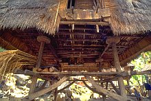 Donggo (Sumbawa)