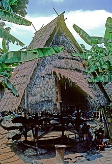 Donggo (Sumbawa)