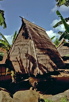 Donggo (Sumbawa)