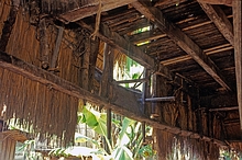 Donggo (Sumbawa)