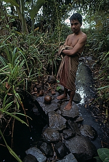 Sasak (Lombok)