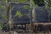 Lombok