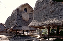 Lombok