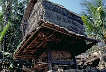 Lombok
