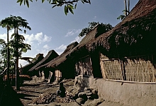 Lombok