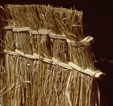 Sasak