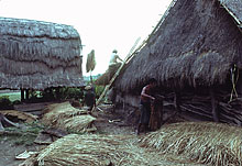 Lombok