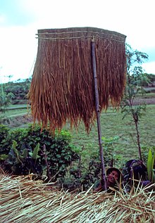Sasak