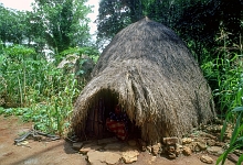 Atoni