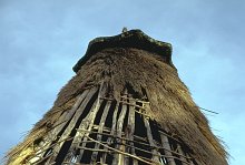 Atoni