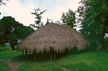 Belu (Timor)