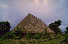 Bunak