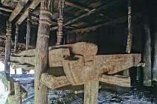 Bunak