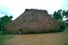 Bunak