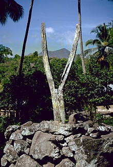 Nagekeo