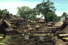 Ngada